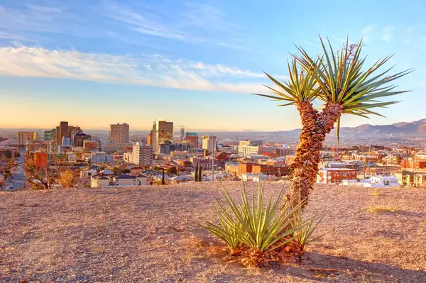 A desert scene overlooking a city skyline punctuated by a cactus in the foreground