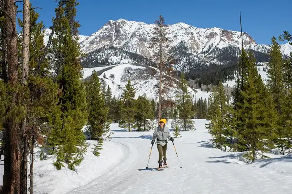 Person cross-country skiing on a trail with snow-covered mountains and evergreen trees in the background