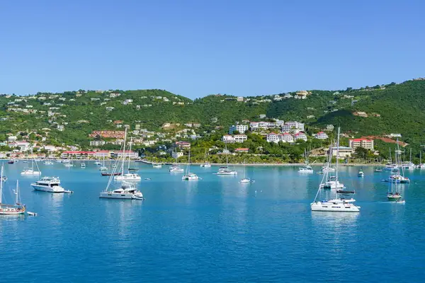 A harbor with boats near verdant forested hills dotted with houses