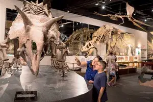A woman and child look at dinosaur exhibits in the Arizona Museum of Natural History
