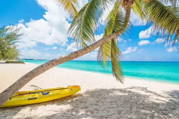A tropical beach with a palm tree arching over the sand and a yellow kayak resting beneath it near the water