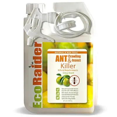 Ant Killer 