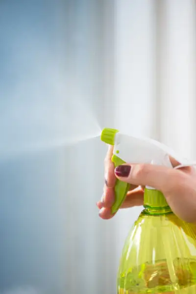 spray to get rid of ants