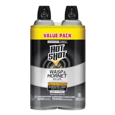 Wasp & Hornet Killer Spray
