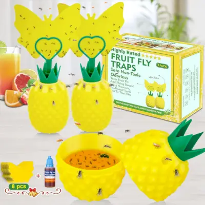 Pineapple Fruit Fly Trap