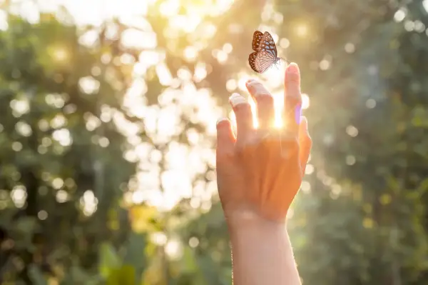 the girl frees the butterfly from the jar, golden blue moment concept of freedom