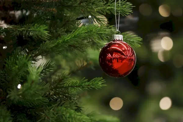 A Christmas bauble hangs from a tree