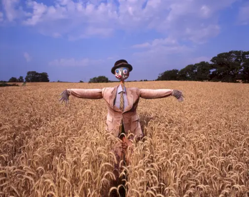 scarecrow