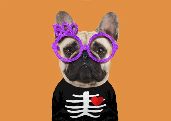 black victorian stlye boots hung on an orange door with burlap ribbon