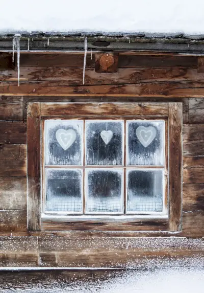 Window, Wall, Wood, Tree, House, Winter, Room, Rectangle, Reflection, Glass, 