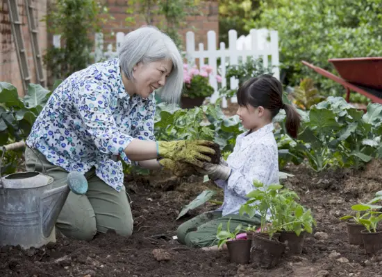 Plant, Soil, Agriculture, Community, Garden, Adaptation, People in nature, Picket fence, Farm, Gardener, 