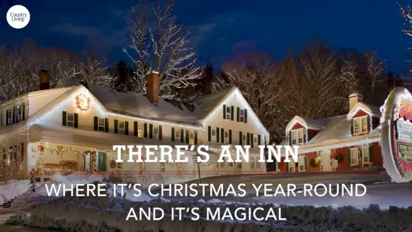 Red Christmas Ball Ornaments