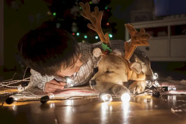 Reindeer Inspired Elf on the Shelf Names