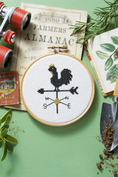 weathervane cross stitch