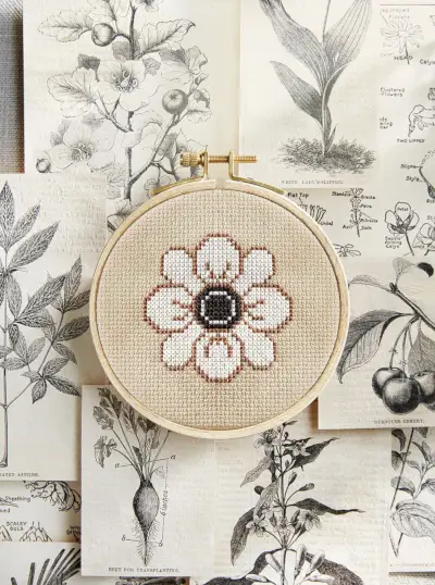 Petal, Botany, Art, Flowering plant, Pattern, Creative arts, Illustration, Floral design, Drawing, Pedicel, 