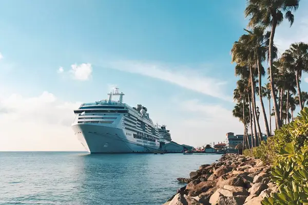 Cruise ships docked near palm trees and a stone shoreline