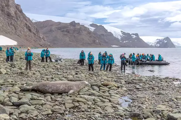 An on shore excursion in Antartica with Swan Hellenic 