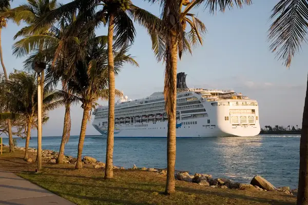 A cruise ship sailing near a palm treelined shore in the evening