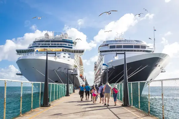 People walking on a pier between two docked cruise ships seagulls flying above