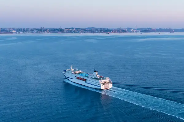 A cruise ship sailing in open water near a shoreline in the background aerial view