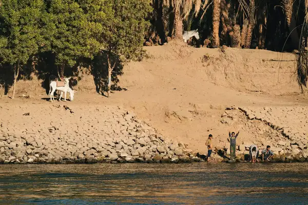 Four children at the edge of the Nile River, with donkeys waiting above