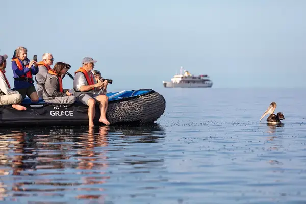 People on a zodiac looking at wildlife in the Galapagos
