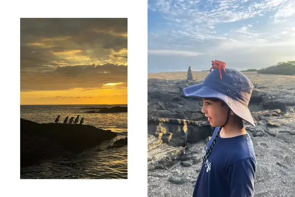 Pair of photos from the Galapagos, one showing penguins on a rock, and one showing a boy in a hat with a dead crab shell on his head