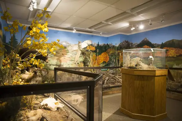 Murals and displays at a state park visitor center