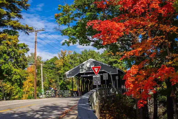 A covered bridge with autumnal trees