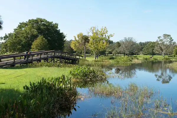 Scenic view of a wooden bridge over a pond with trees in the background