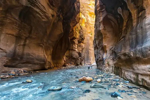 People hiking through a river canyon surrounded by tall cliffs in Zion National Park
