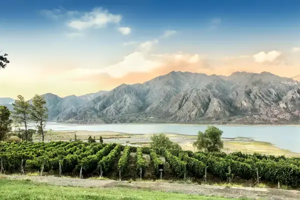 Beautiful Malbec vineyard high in the Andes mountain range. Lujan de Cuyo, Mendoza, Argentina.