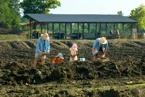 People digging in a dirt field at a park, a shelter structure in the background