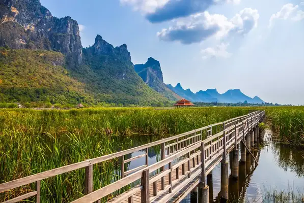 Beautiful landscape of wooden bridge walkway in swamp with grass field with blue sky mountain range background in Khao Sam Roi Yot National Park, Kui Buri District, Prachuap Khiri Khan, Thailand