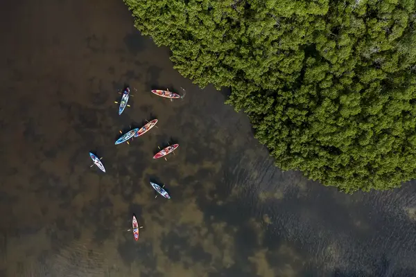 Blue and red kayaks seen from above 