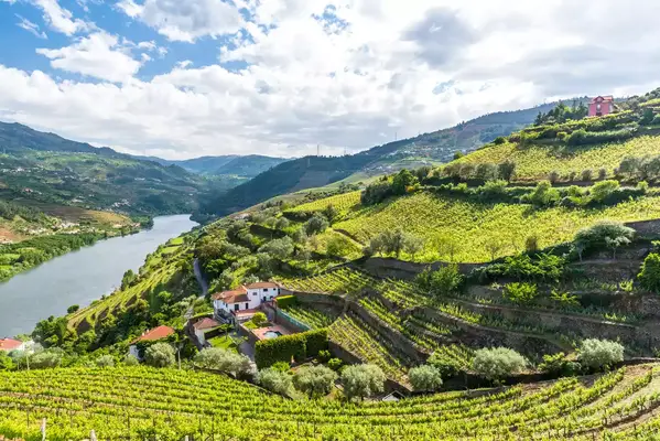 Vineyards and landscape of the Douro river region in Portugal
