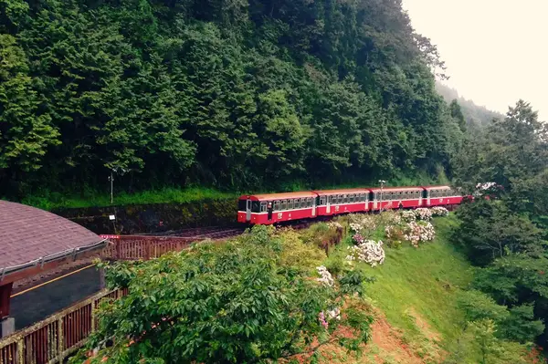 A train traveling through a forested mountain area on a raised track