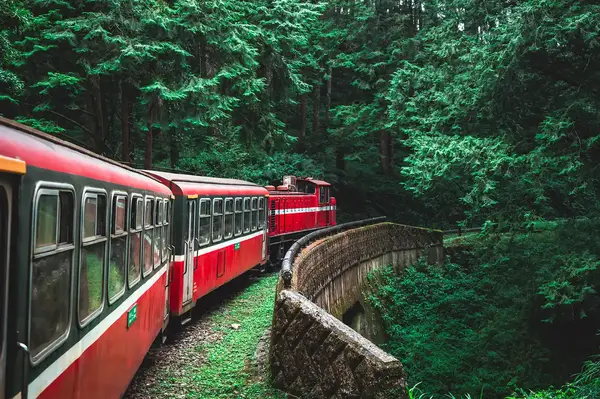 Forest train moving through a dense wooded area on a curving stone bridge