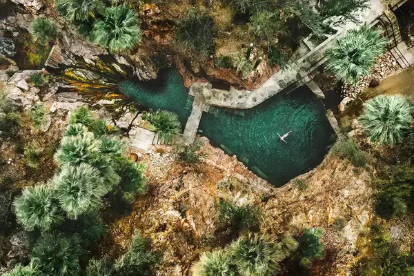 Aerial view of a person floating in the hot springs surrounded by plants