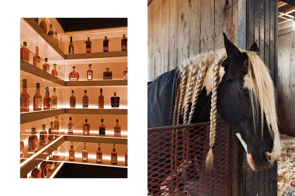 Pair of photos from Kentucky, including bottles of bourbon in a museum, and a horse with a braided mane