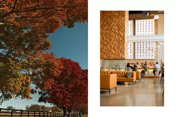 Pair of photos from Kentucky, one showing fall foliage, and one showing a restaurant