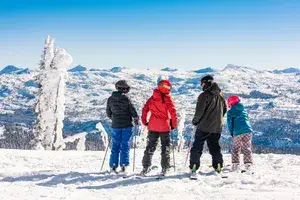 A family of skiers looking at the view of mountains