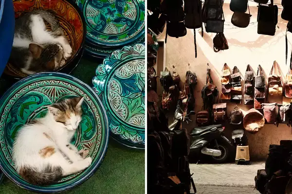 Cats in medina an dleather stall in Marrakesh