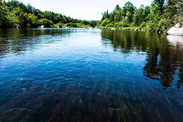 Beautiful Landscape On The Wolf River With Rocks And River weed , Wisconsin