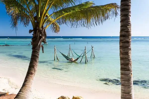 A quiet beach with palm trees and hammocks.
