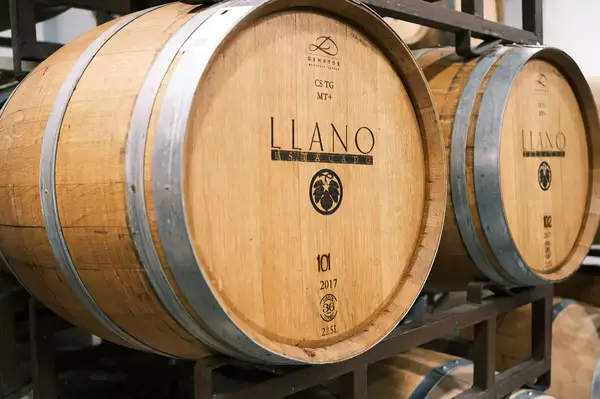 Wine barrels labeled Llano Estacado Winery, stored in a rack