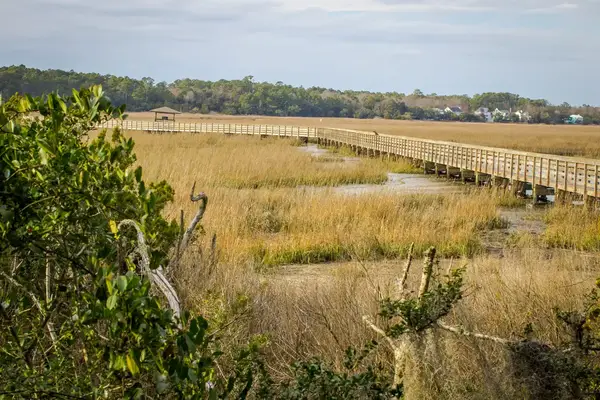 A long wooden boardwalk extending through a wetland area with sparse trees and natural vegetation
