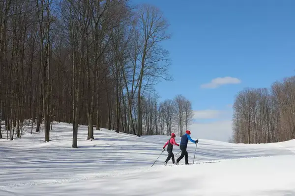 Two cross country skiers
