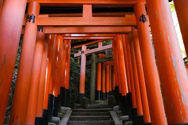 Pathway through a series of torii gates at Fushimi Inari Shrine Kyoto Japan