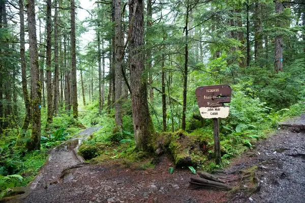 Forest trail with a wooden sign indicating 